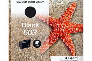 EPSON CARTUCCIA INK NERO,  STELLA MARINA, 603